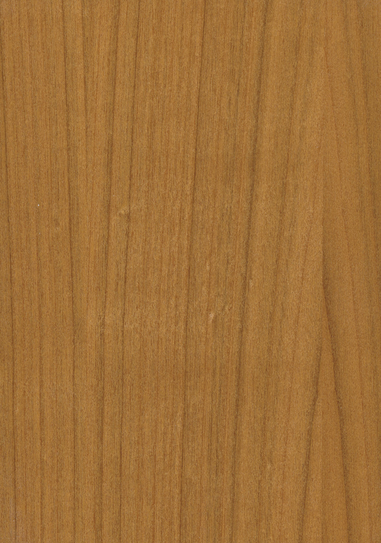 6er Set Stühle - Stuhl Holz Vierfuß R2